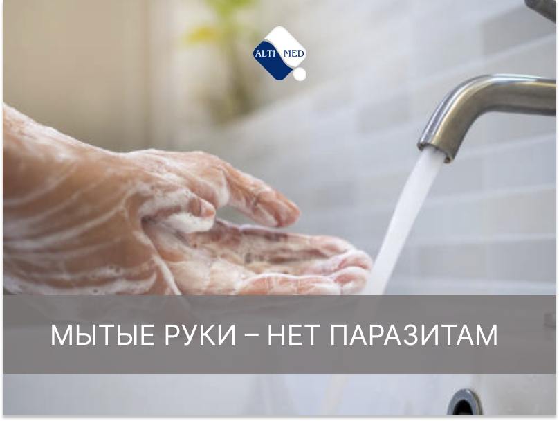 Миф №1. Мытые руки – нет паразитам